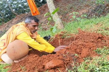 वृक्षारोपण एवं पर्यावरण संरक्षण